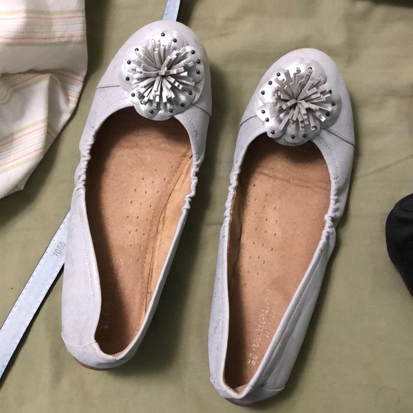 snake print booties steve madden